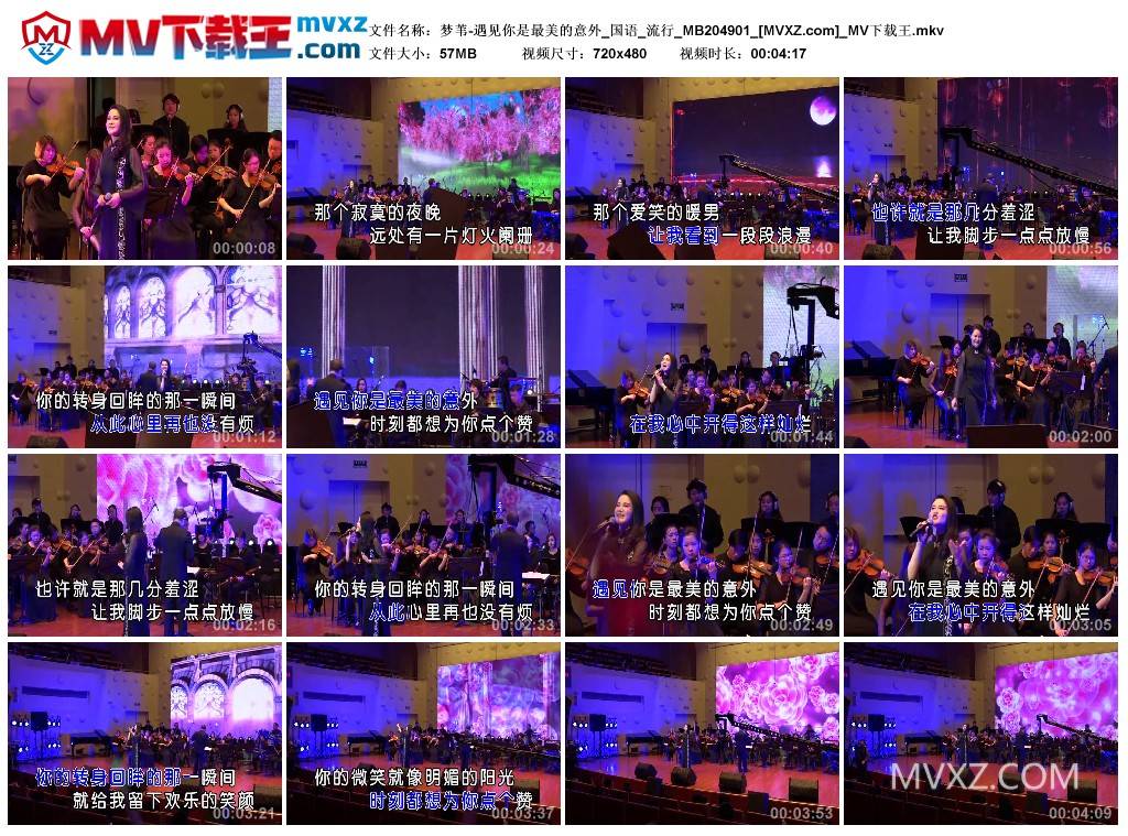 梦苇-遇见你是最美的意外_国语_流行_MB204901